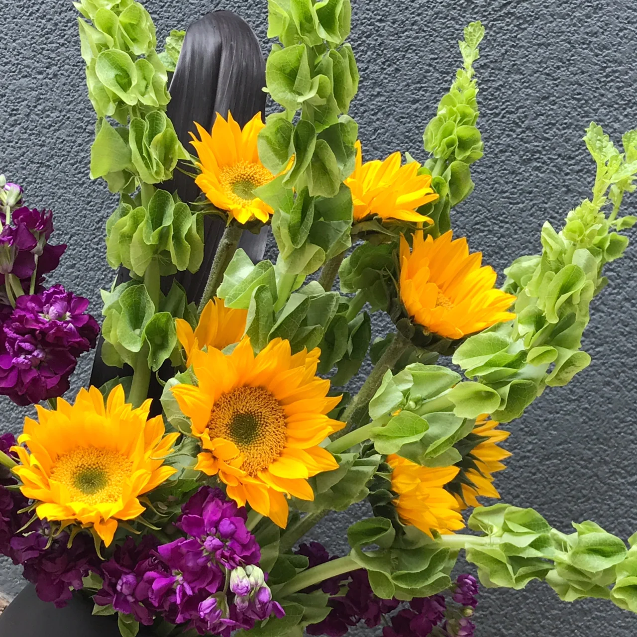 the inimitable power of the sunflower