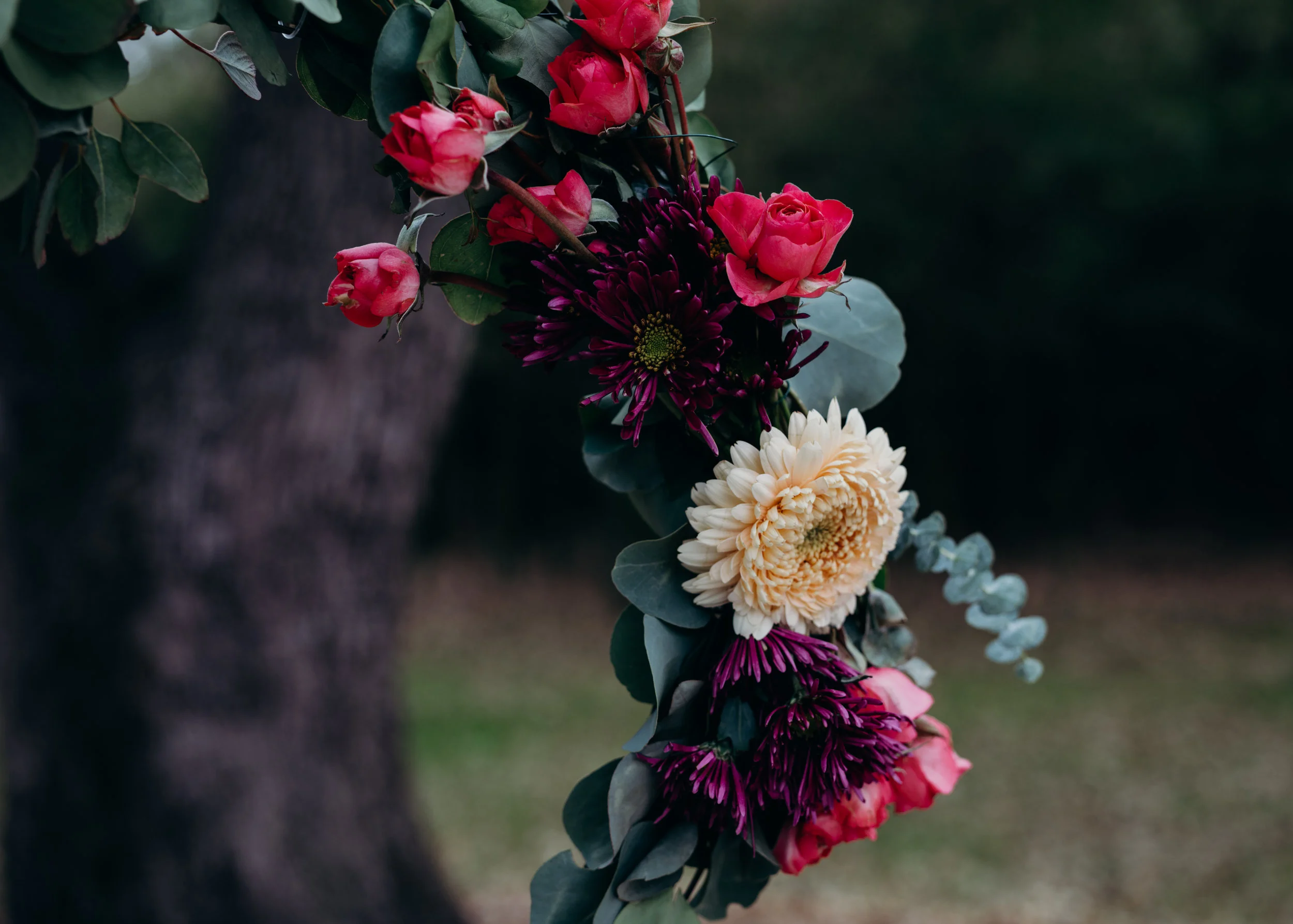 photo by https://www.justryanrose.com/