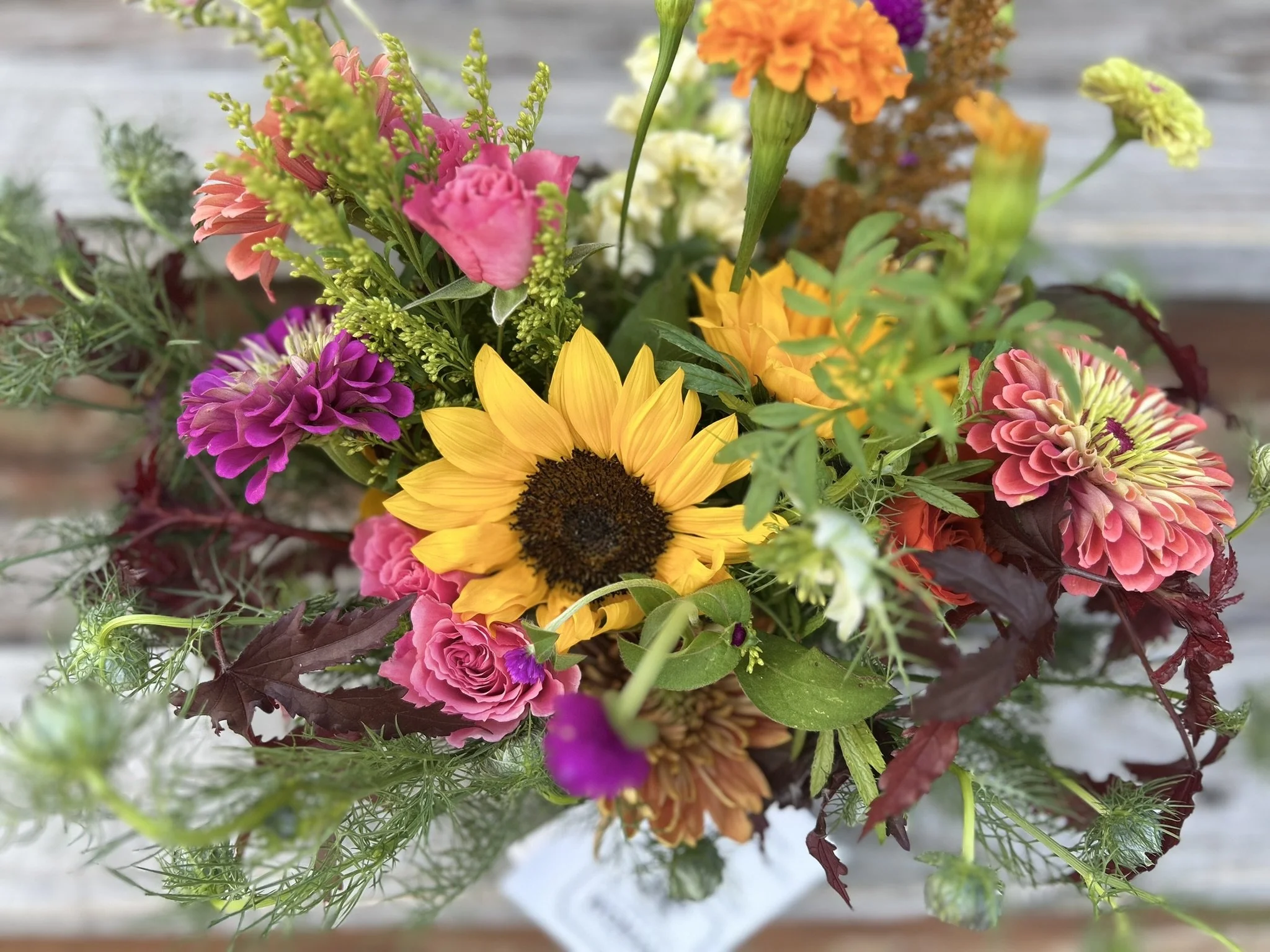 BF249B4C-EDA7-4D37-A5DE-F516F0541407_1_102_a (1).jpeg