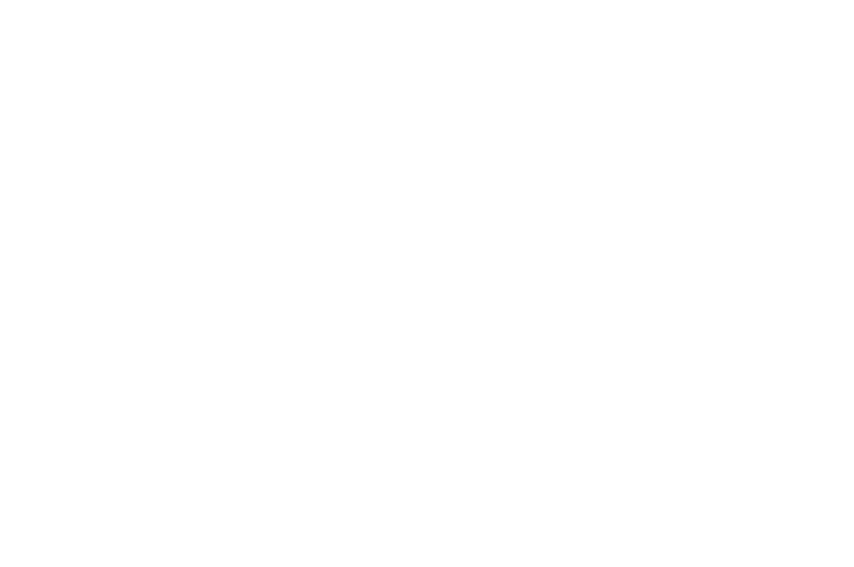 BEST STORY - Los Angeles Short Film  Script Festival - 2025 (1).png