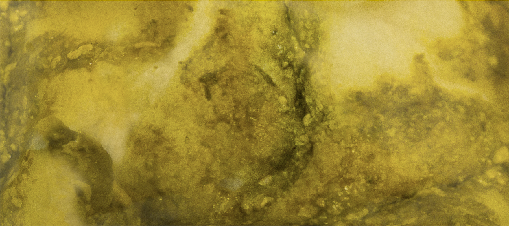 Organic landscape. Making matter. A picturesque photo series about the existential aspect of becoming a mother. mother and child create a landscape together both on the inside, mentally but also physically with the body. The series is 2 dimensional