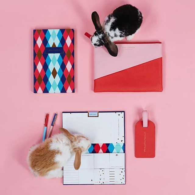 New work for @alice.pleasance | Shot by @_a_thousand_stories_ | A @alzatephotography | Styling @imogeneroache | #alicepleasance #whoisalicepleasance