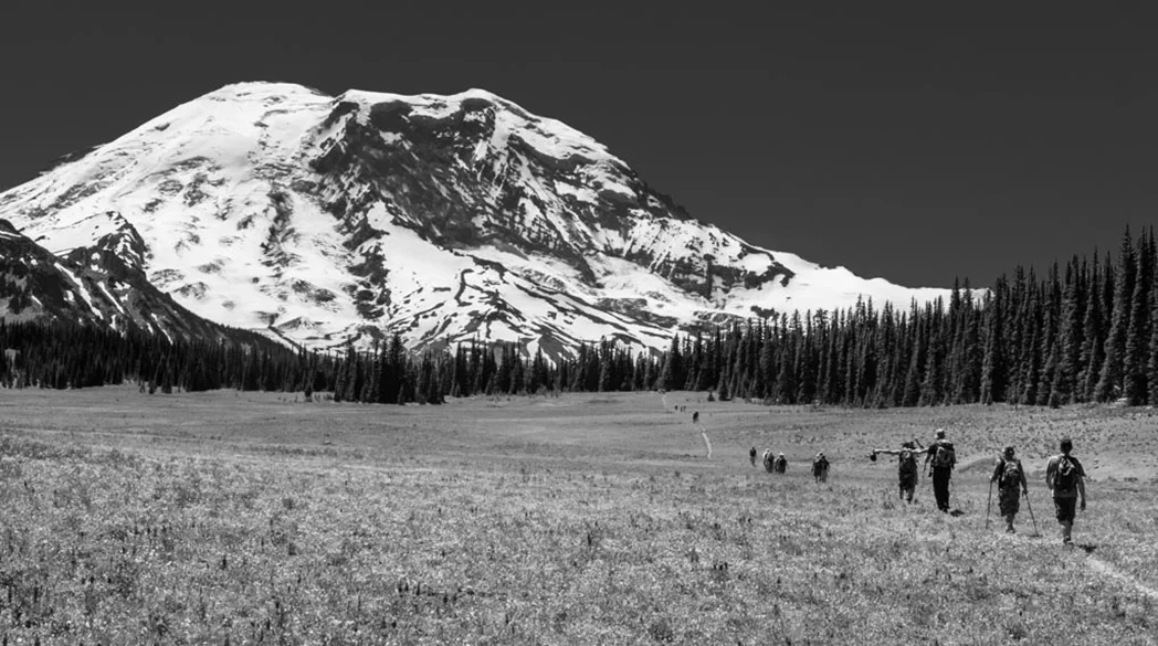 Mt Rainier National Park