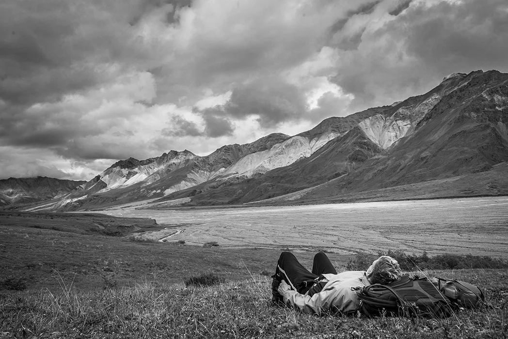 Denali National Park Alaska