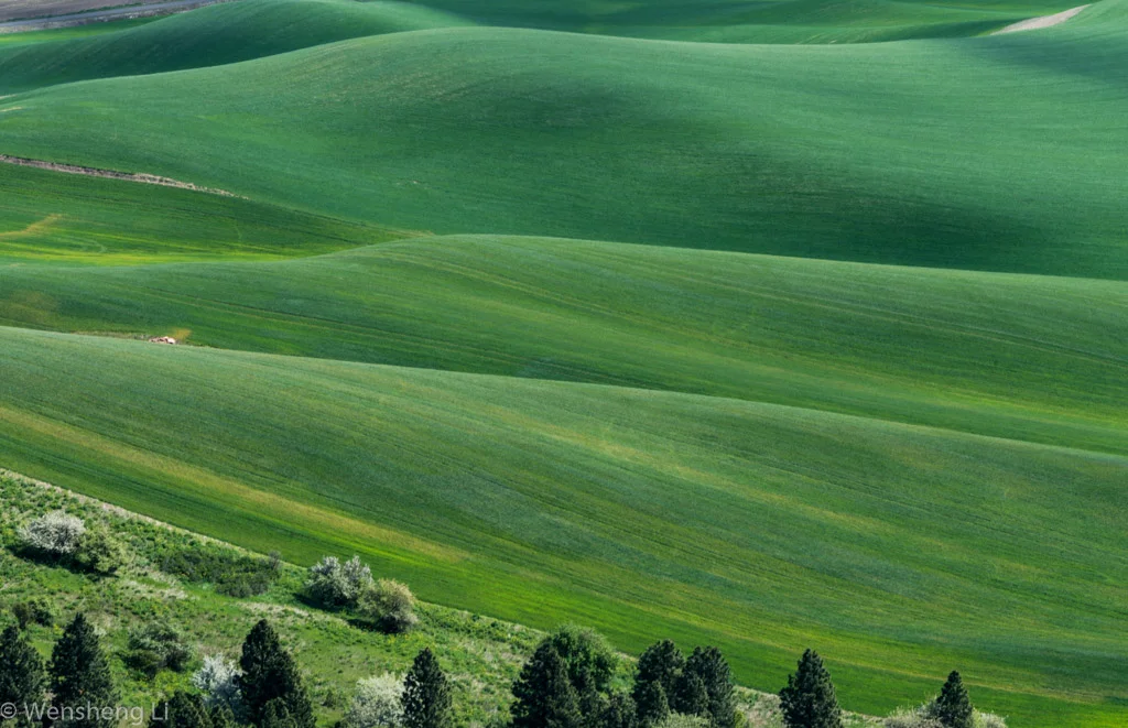 Palouse WA