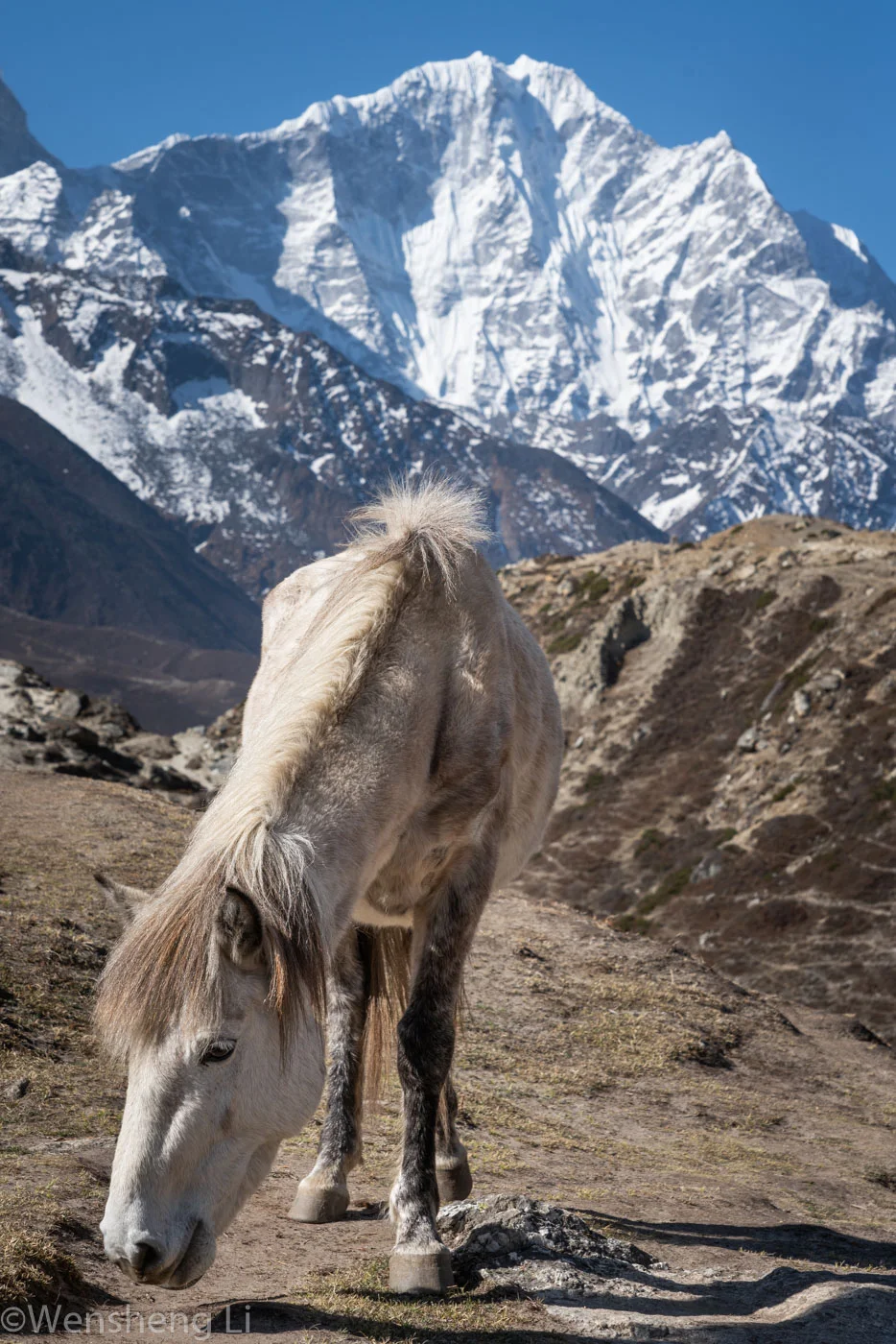 Nepal Everest Region