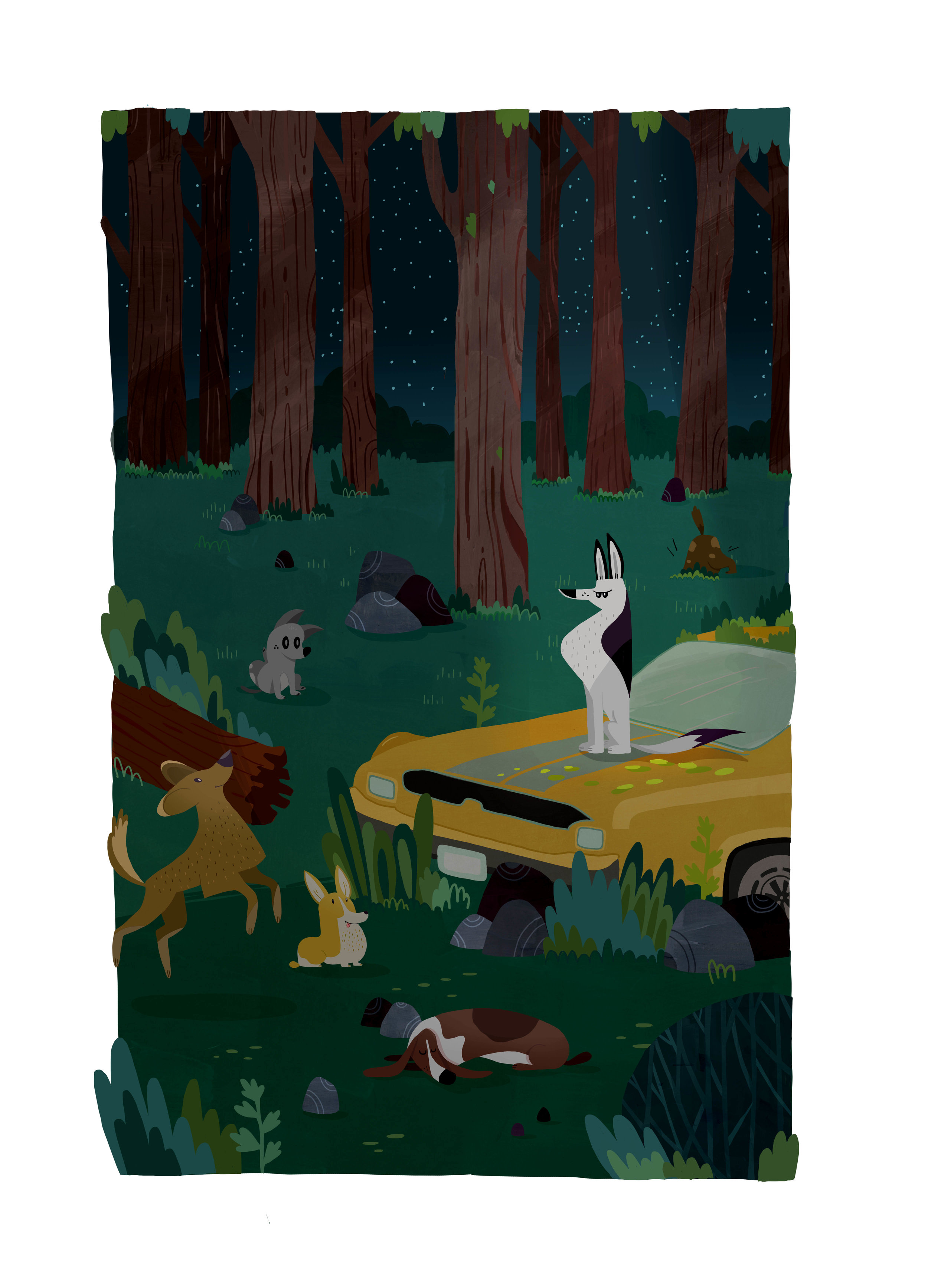 truck in the forest 13.jpg