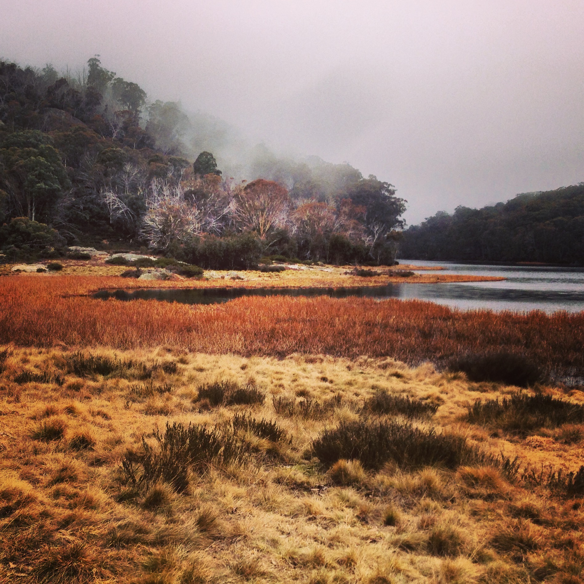 Mountain Wetlands