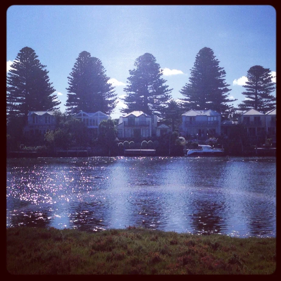 River and Pines