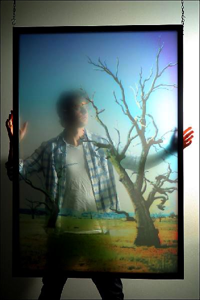 Dead Trees in gallery