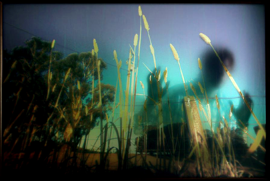 Grass in Gallery