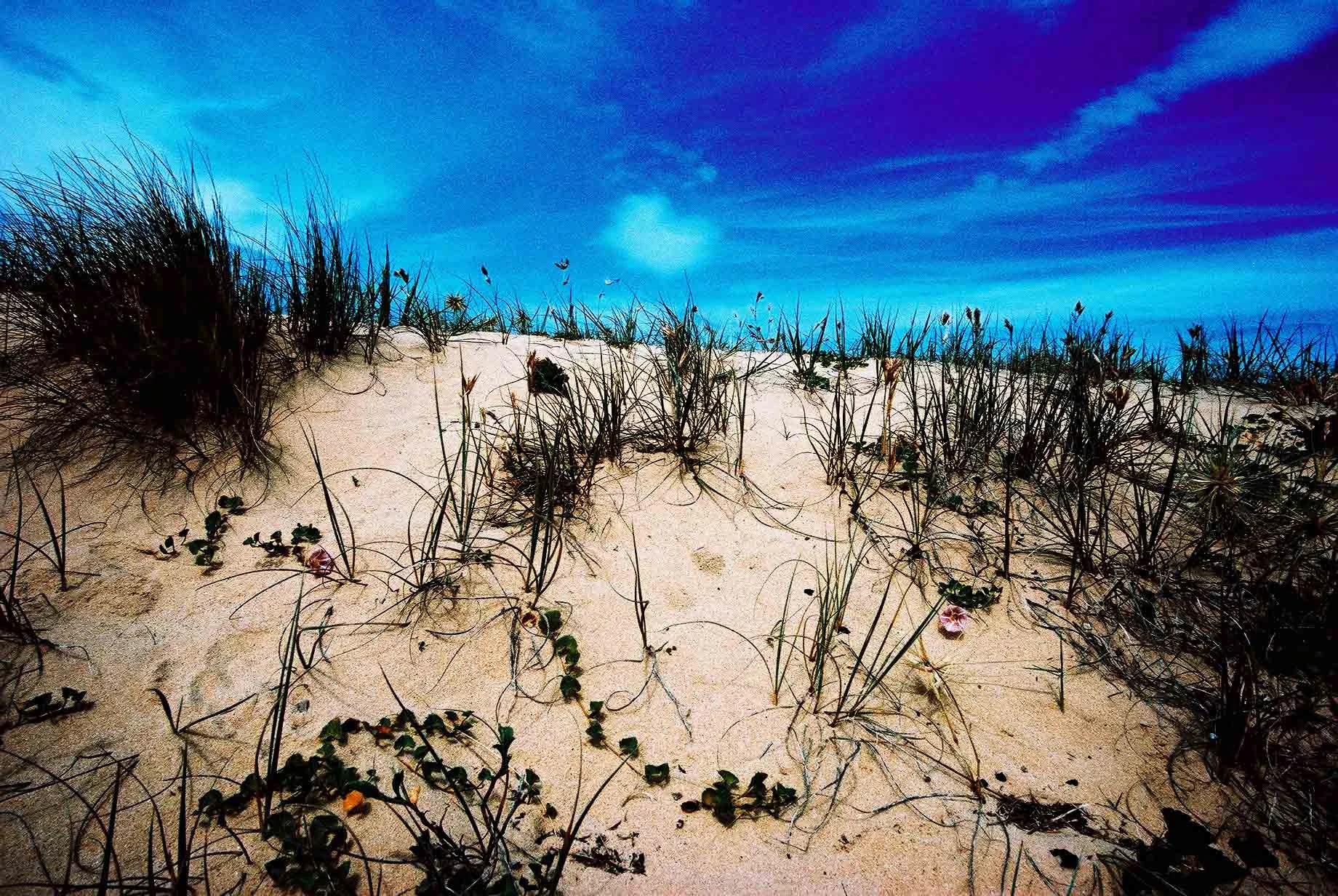 Sand Dune and Sky