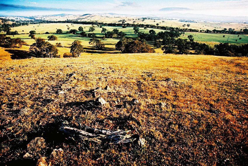 Hills 1
