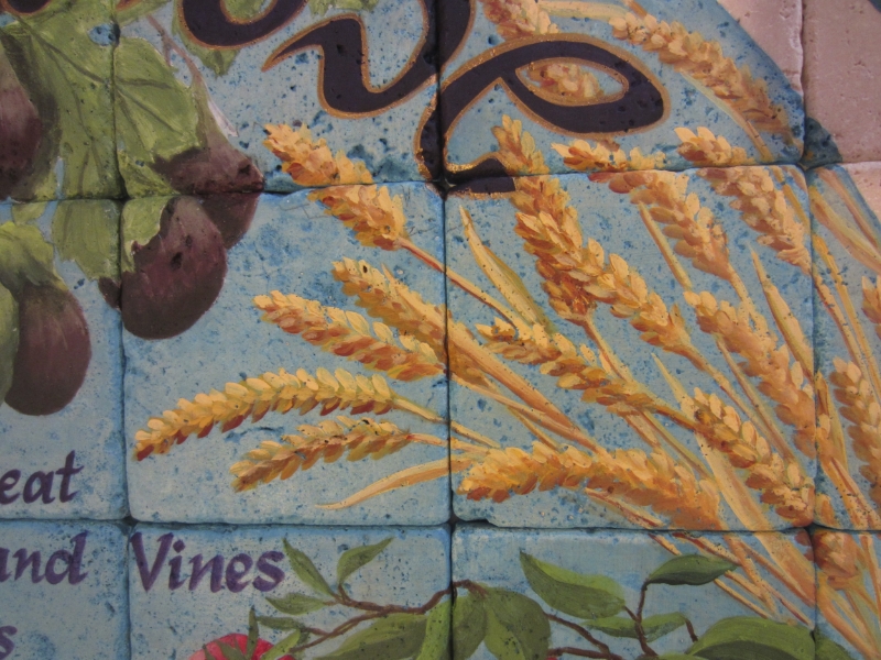 Close-up of Wheat, upper right in circle.