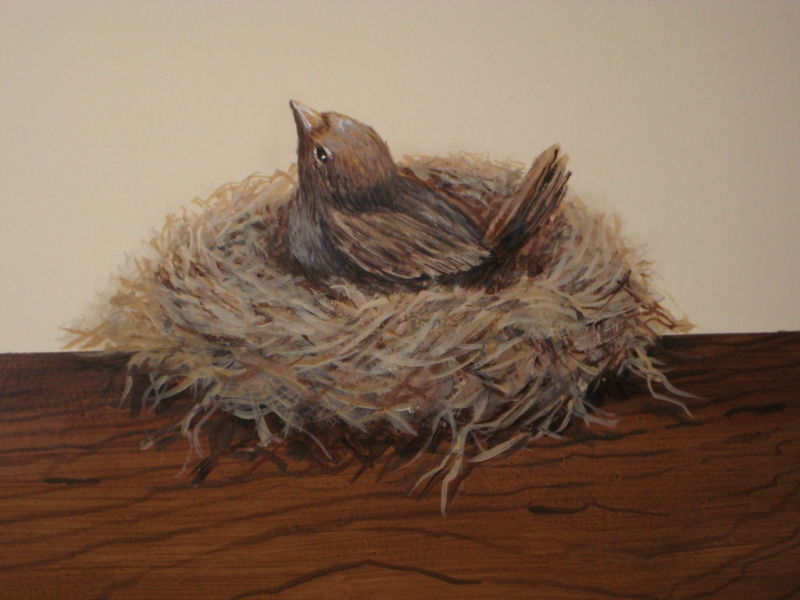 Bedroom Wildlife...