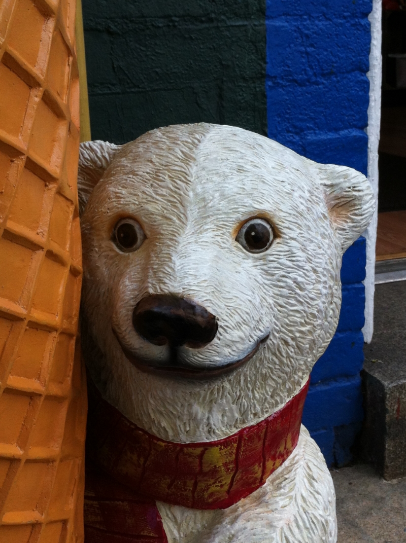 Pop Shop Polar Bear...