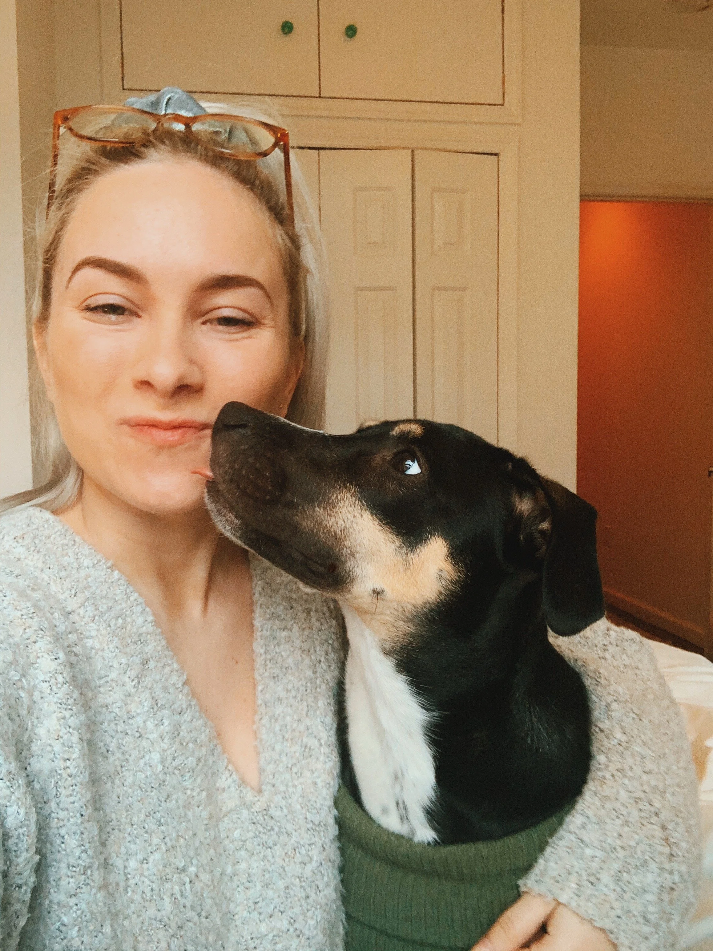 how-to-work-from-home-with-a-dog-erin-mcgoff