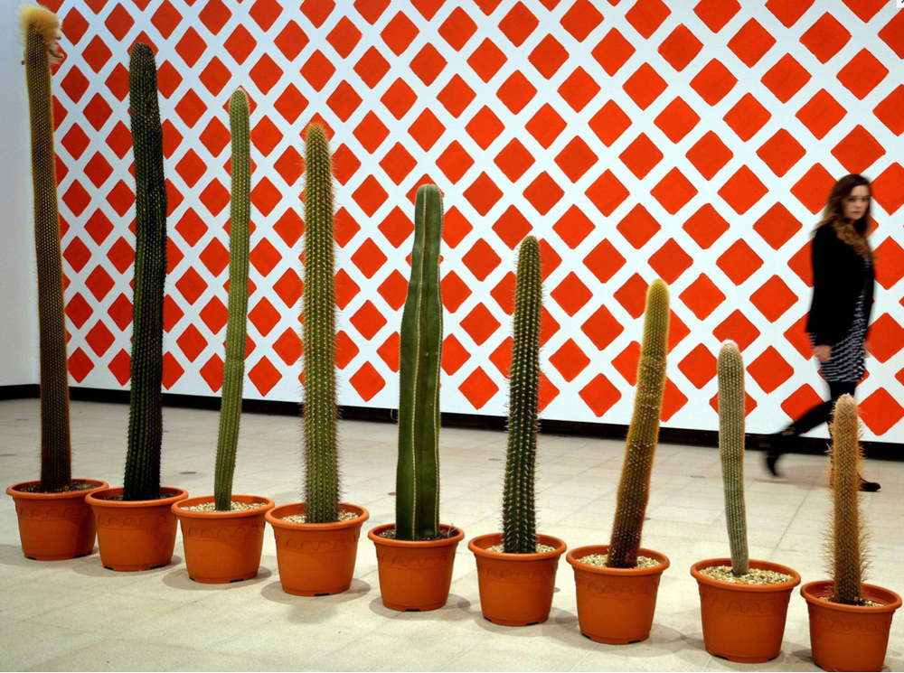 martin-creed-row-of-ever-smaller-cactus-plants.png