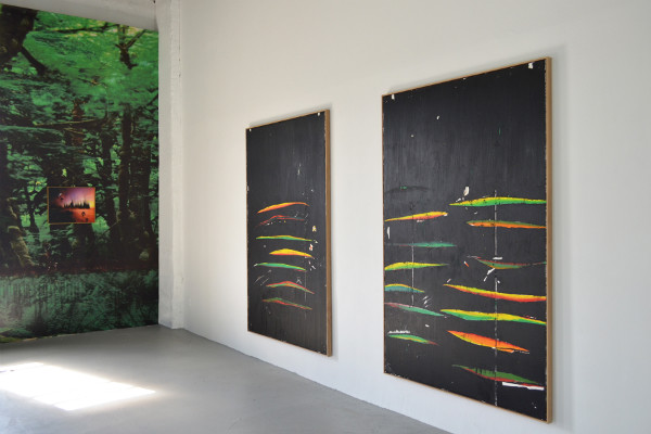 Harold Ancart, Installation View, Anaconda Standard, 2013 at C L E A R I N G, New York