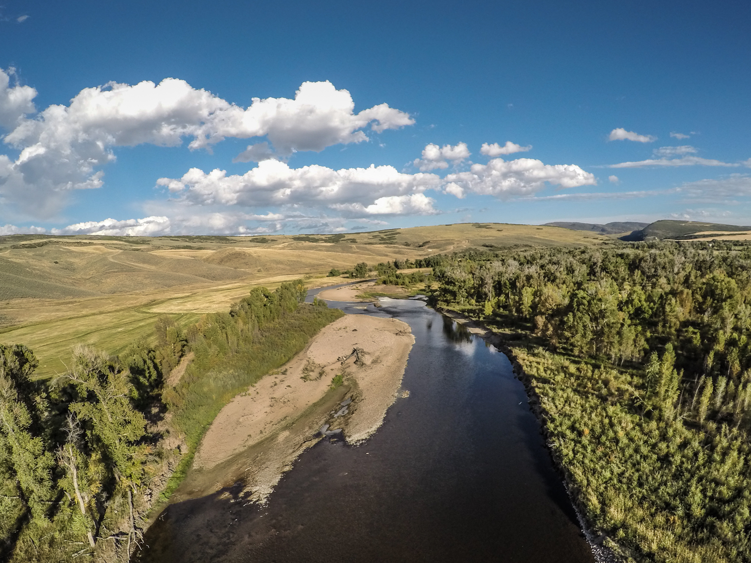 (A Tale of two Yampas: on the left side of this aerial of the Yampa River you can see the effects of allowing cattle to graze all the way down to the river. On the right, you can see the proliferation of species that has resulted from a century of conservation. The differences in vegetation interact in a dynamic manner with the river. ) 