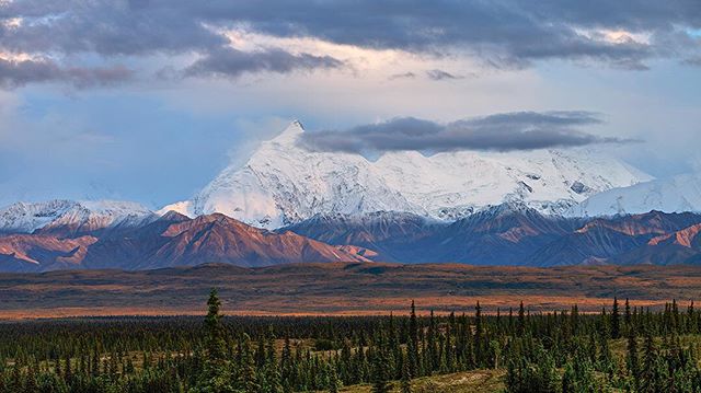 This may well be one of the most amazing places I have laid my head down to sleep.  Mount Foraker (center left) clocks in at 17,400 feet (5,304 meters) and Denali, the highest mountain in North America (20 ,165 feet/ 6,190 m)is visible here too as a 