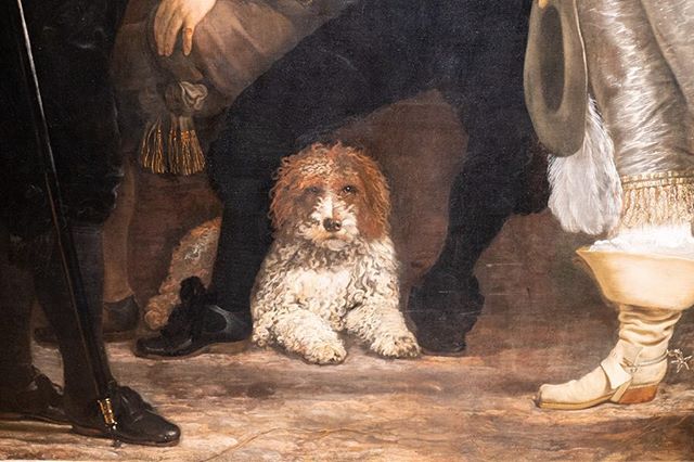 Dog 1.  Painted in the 17th century and his gaze fixes mine for so long I see him all over Amsterdam after I leave the museum.  #bartholomeusvanderhelst #rijksmuseum #netherlands #amsterdam #dogs #dogsofinstagram #dogstagram