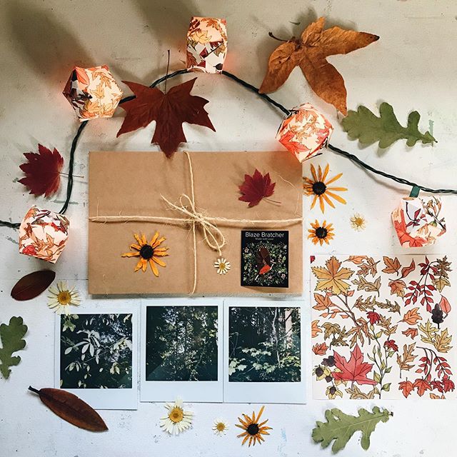 The Sunny Day Club is here for fall! And you can bet I&rsquo;m pretty in love with sending light through the mail via leaf lantern paper! A perfect way to brighten up a little corner. ✨💌🍂 Robin is in there too along with some other magic! 
#blazebr