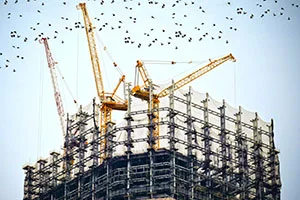 real estate developers 300.jpg