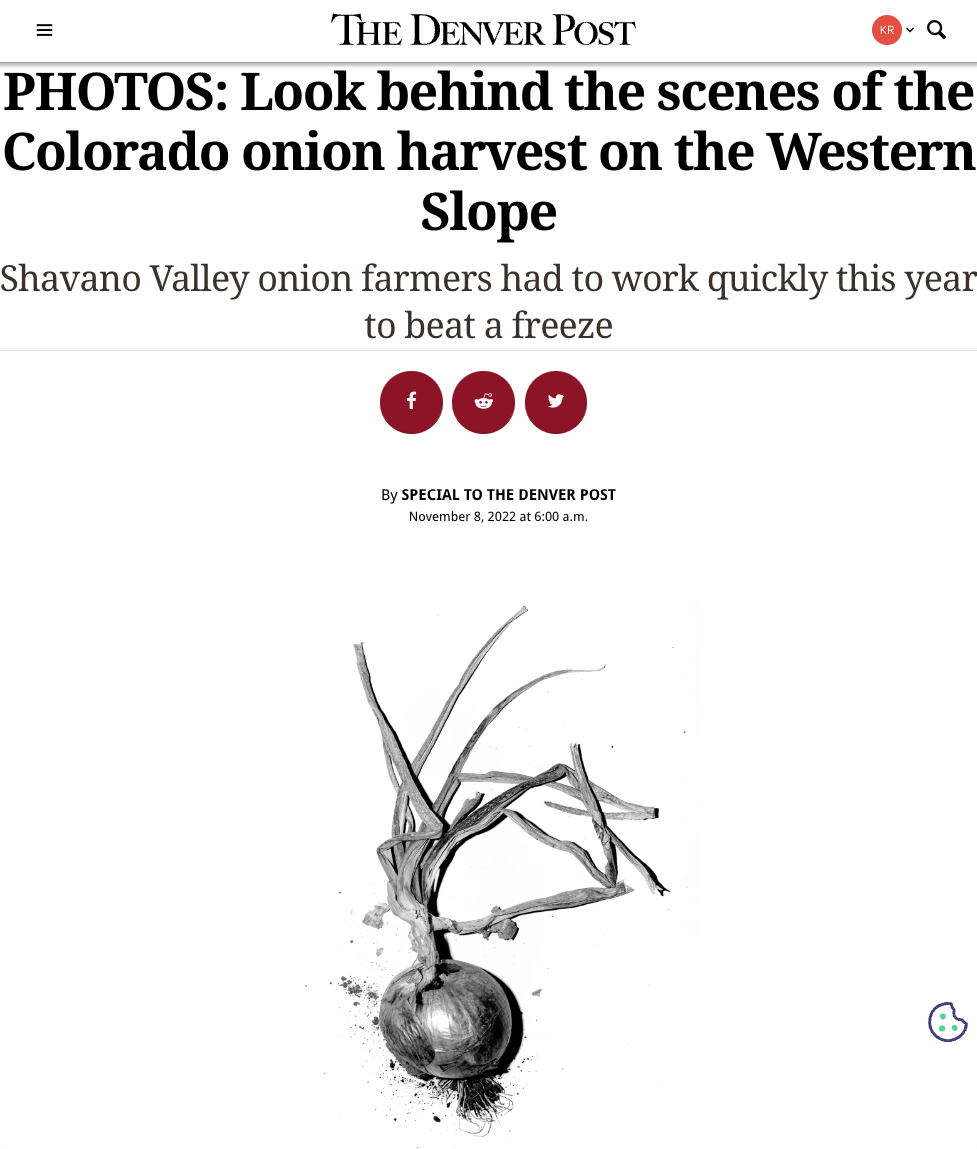    Click here for more on the Colorado onion harvest.    