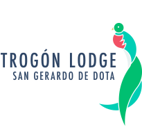 TL_Favicon.png