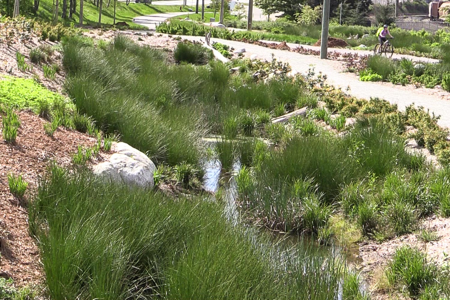 Creekway Park Restoration