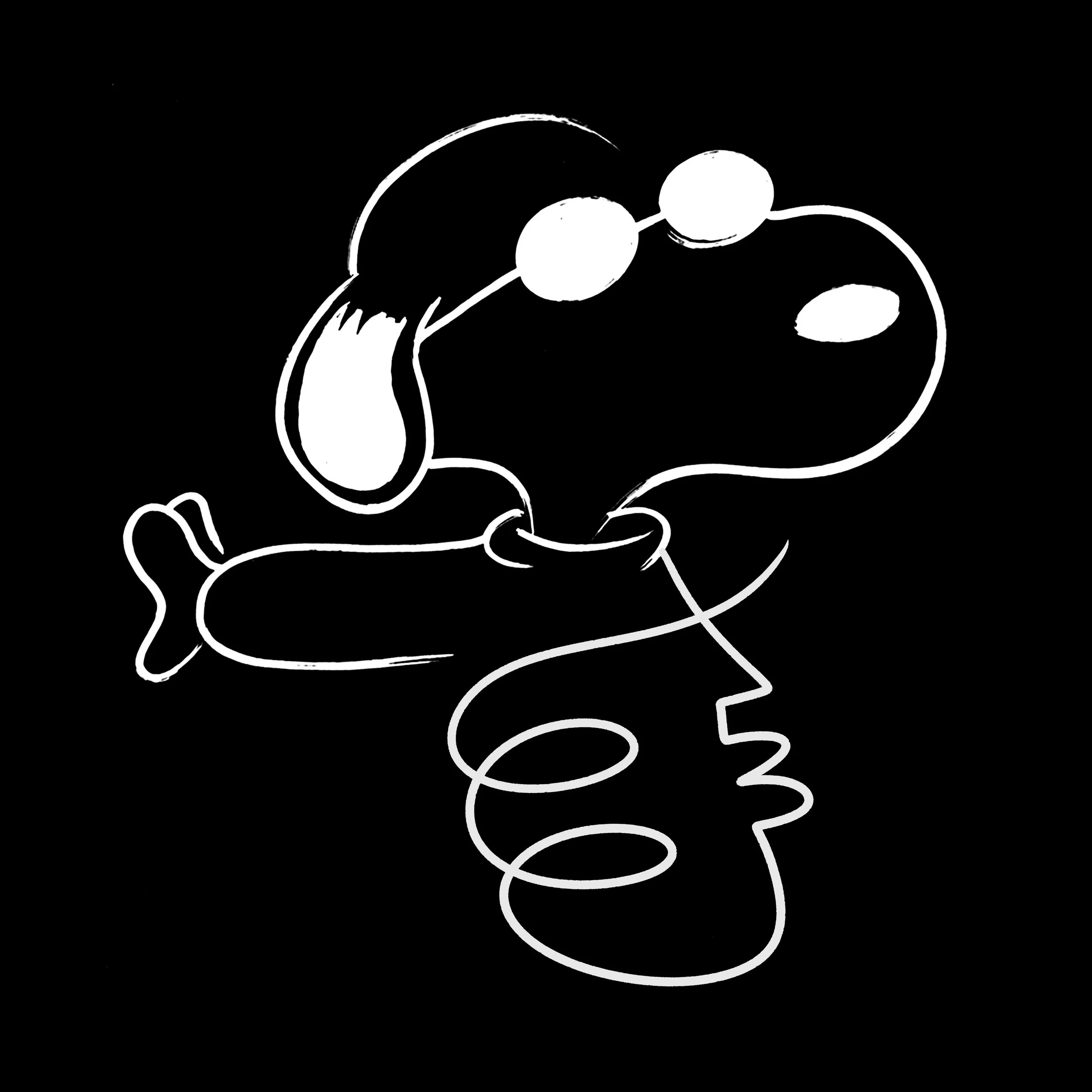 joe cool inverted.JPG