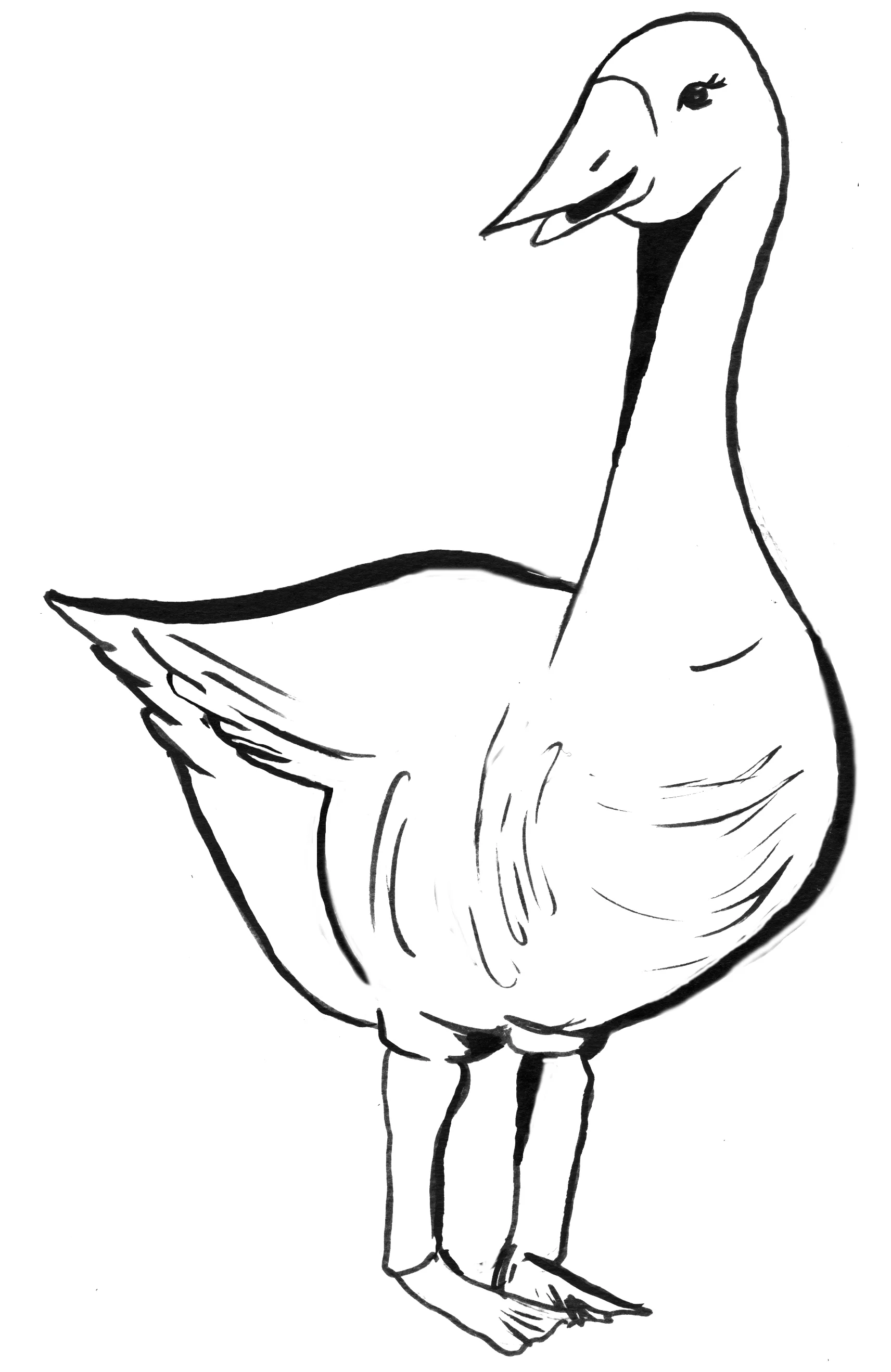 goose.jpg