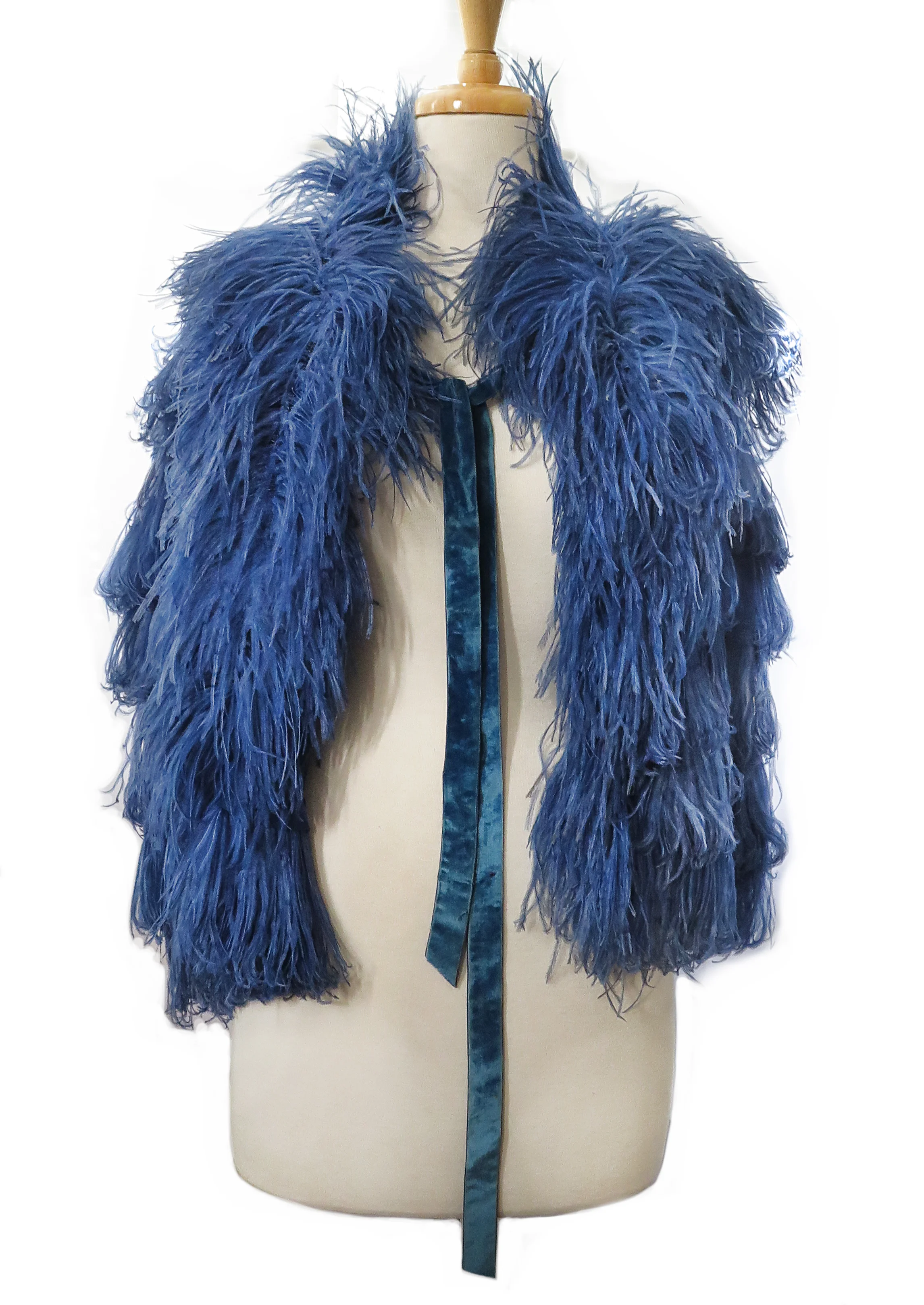 bluefeathercape1.jpg