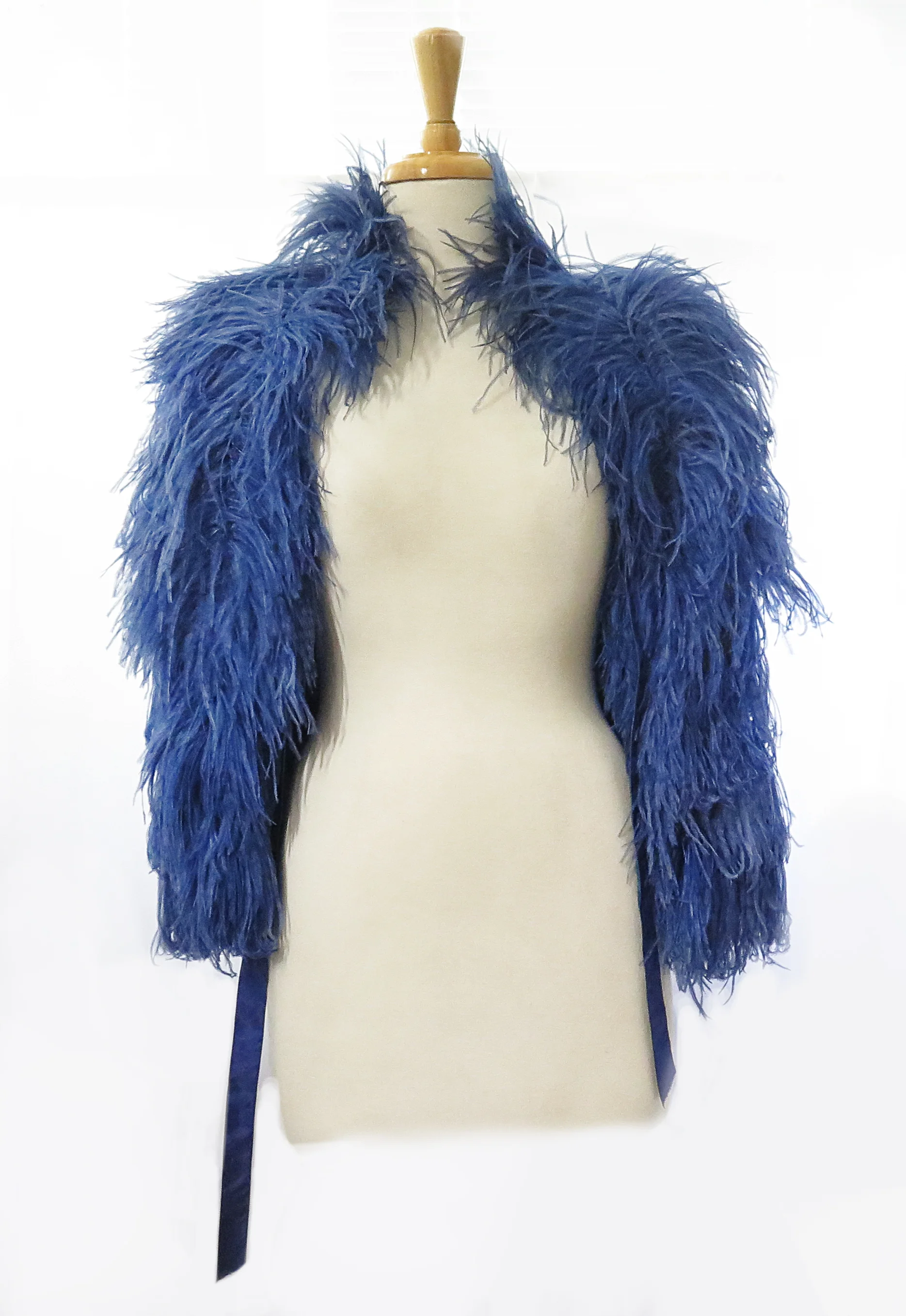 bluefeathercape2.jpg