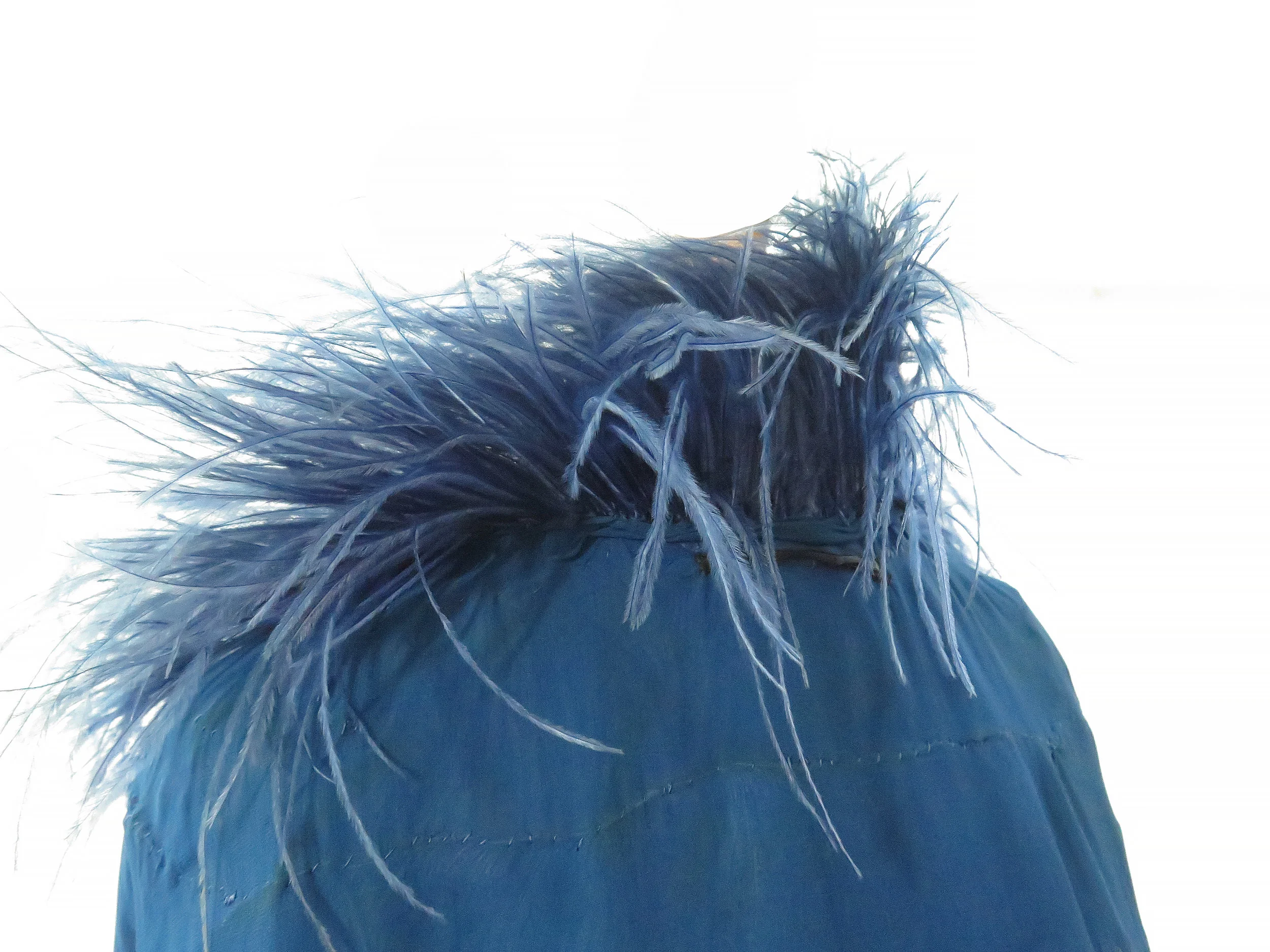 bluefeatherinsideout.jpg