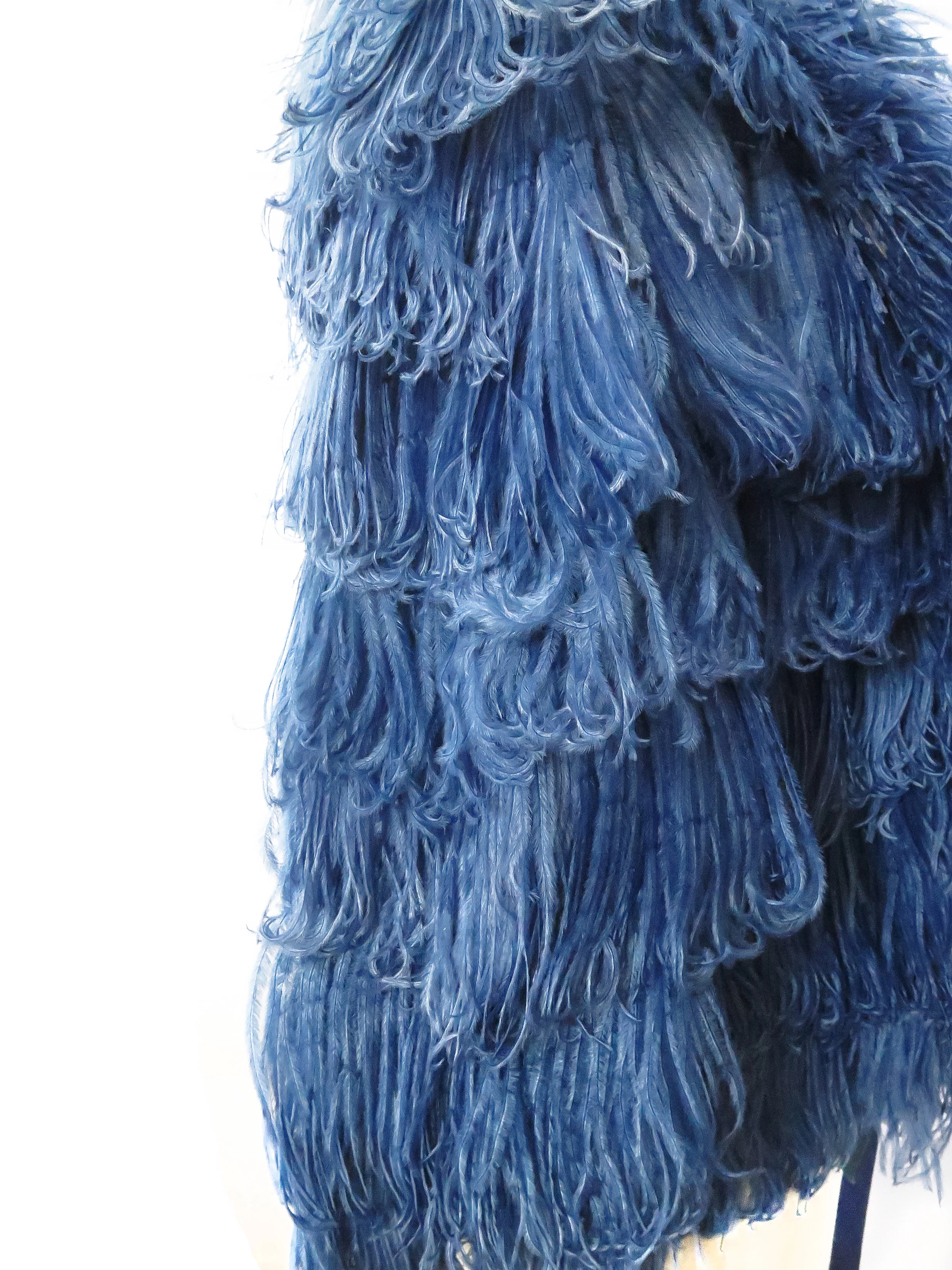 bluefeather5.jpg