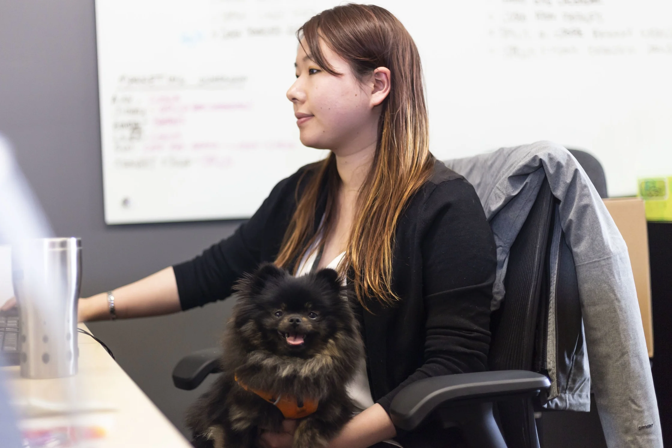 Dog owners love our office's four-legged friendliness.