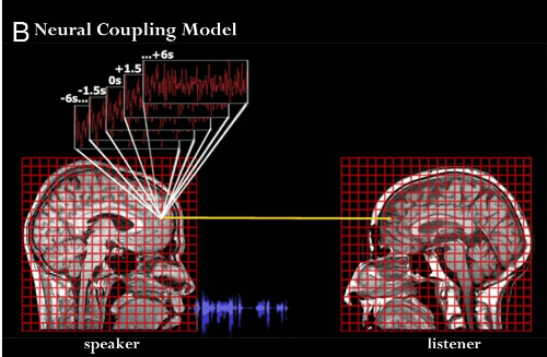 neural coupling.png