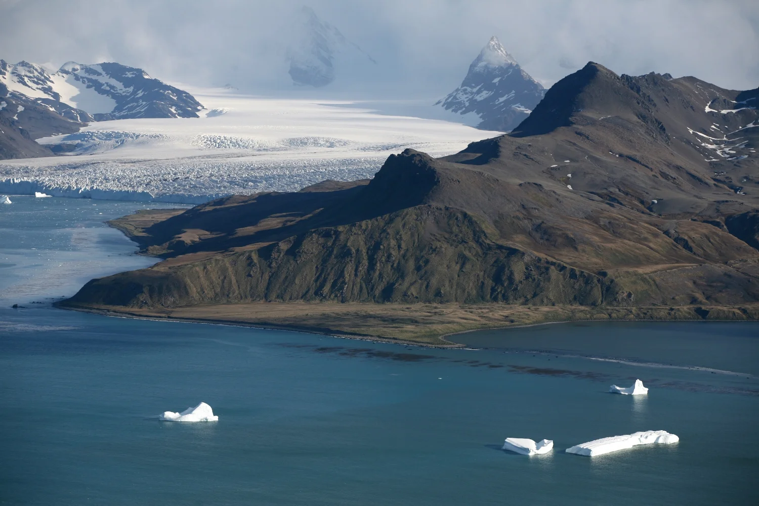 South Georgia Southern Ocean