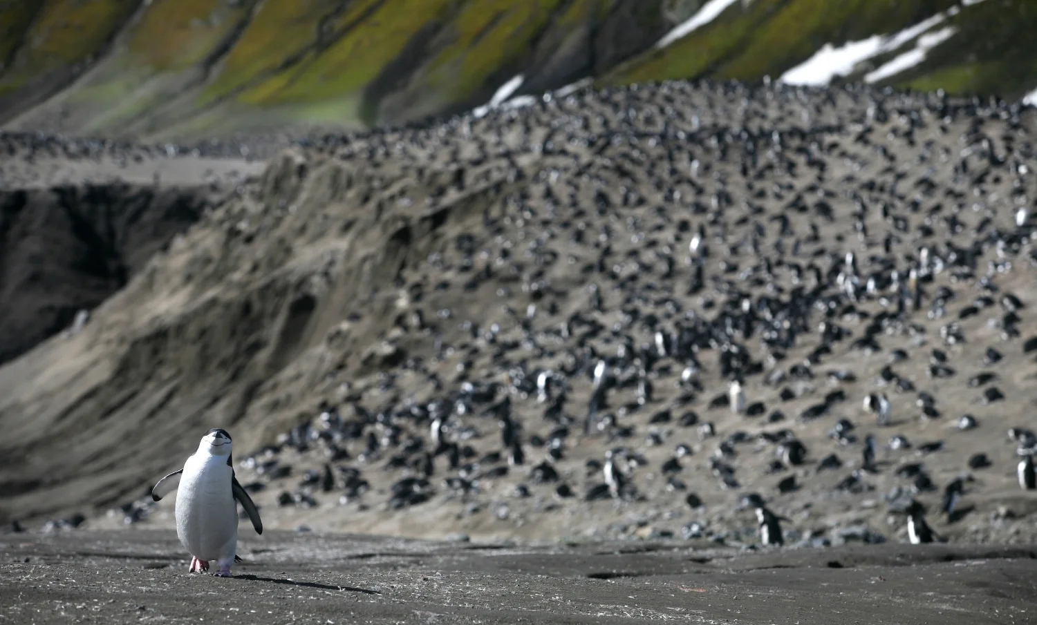 Deception Island Antarctica