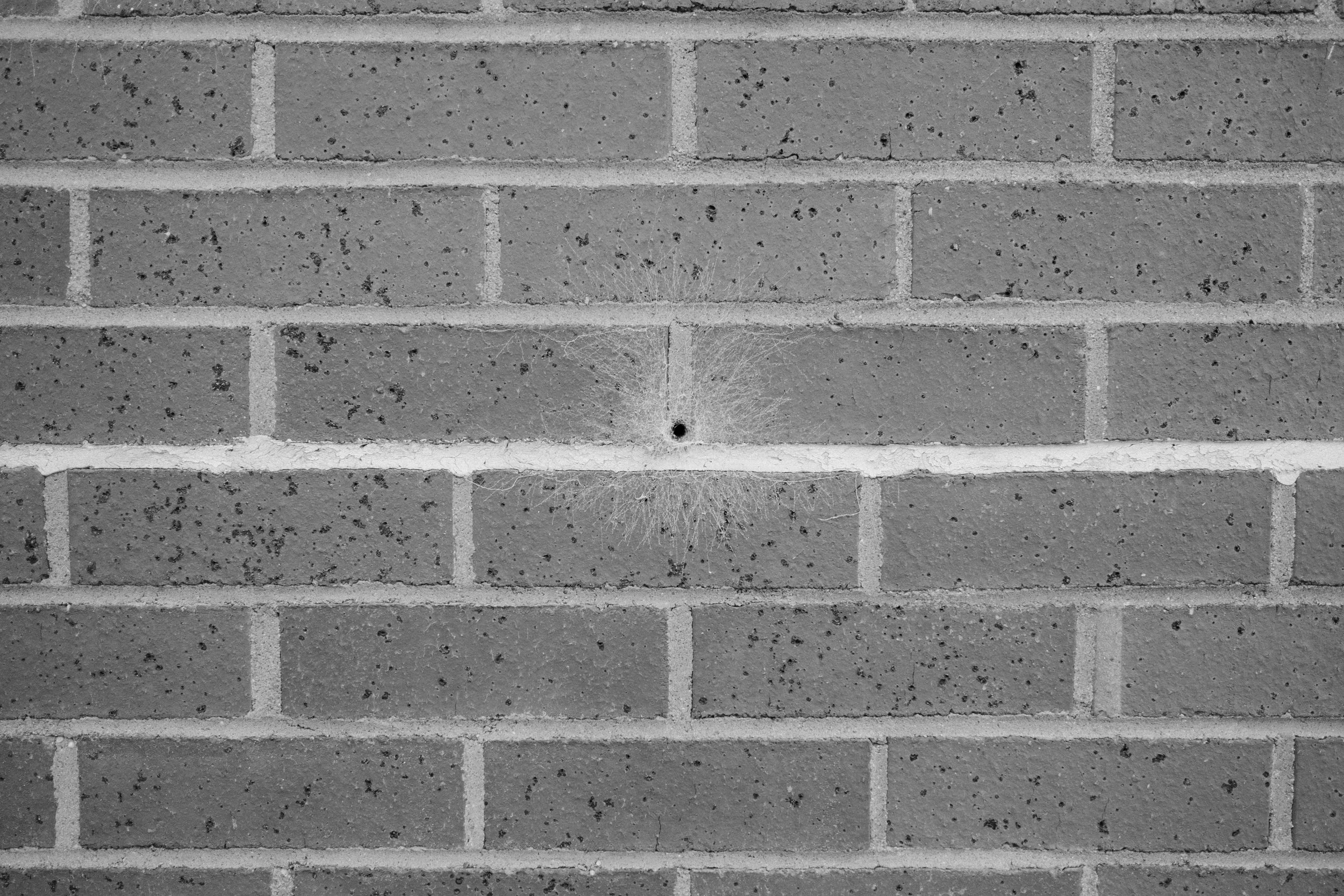 DSCF0358.jpg