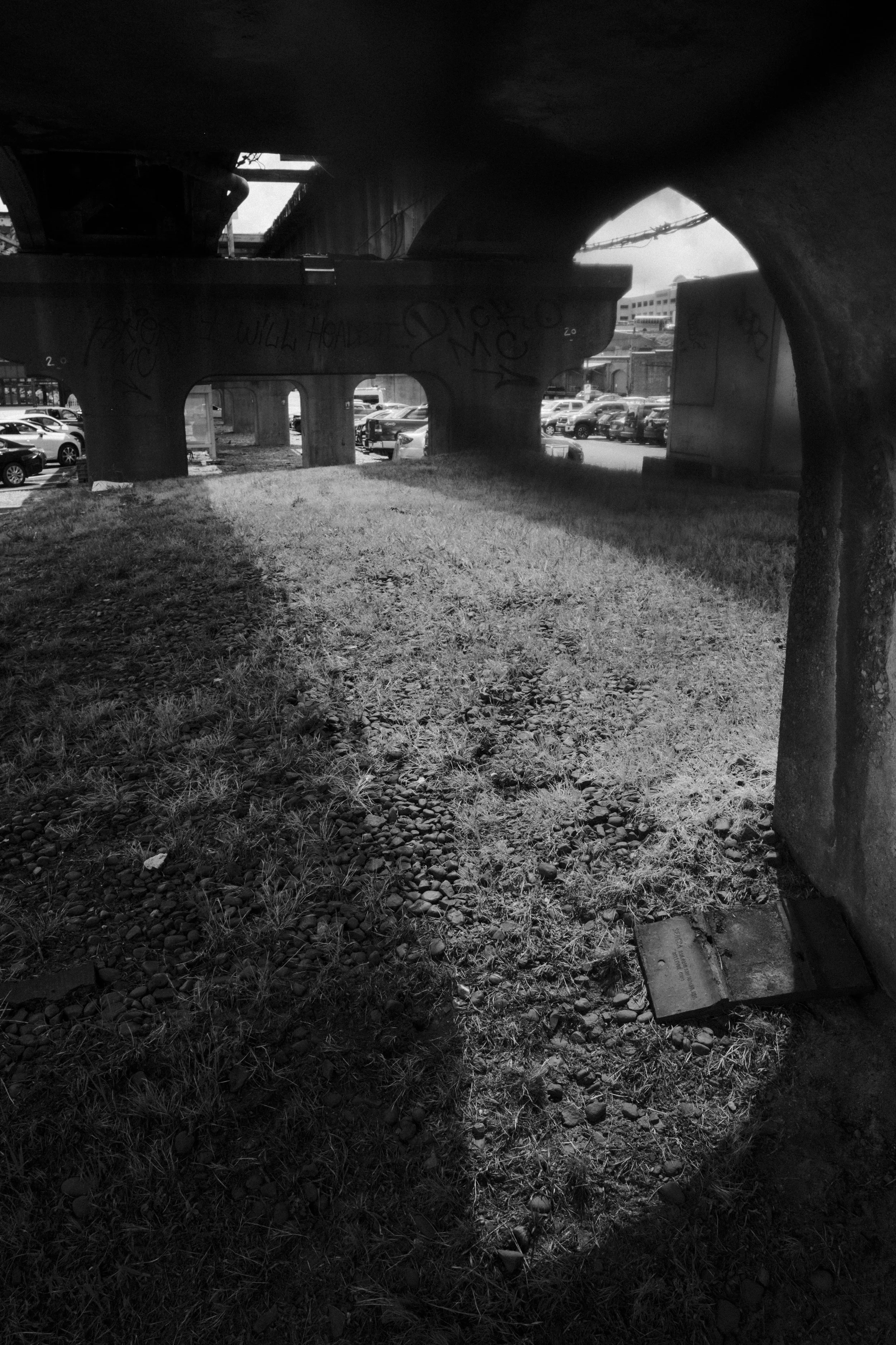 DSCF1773.jpg