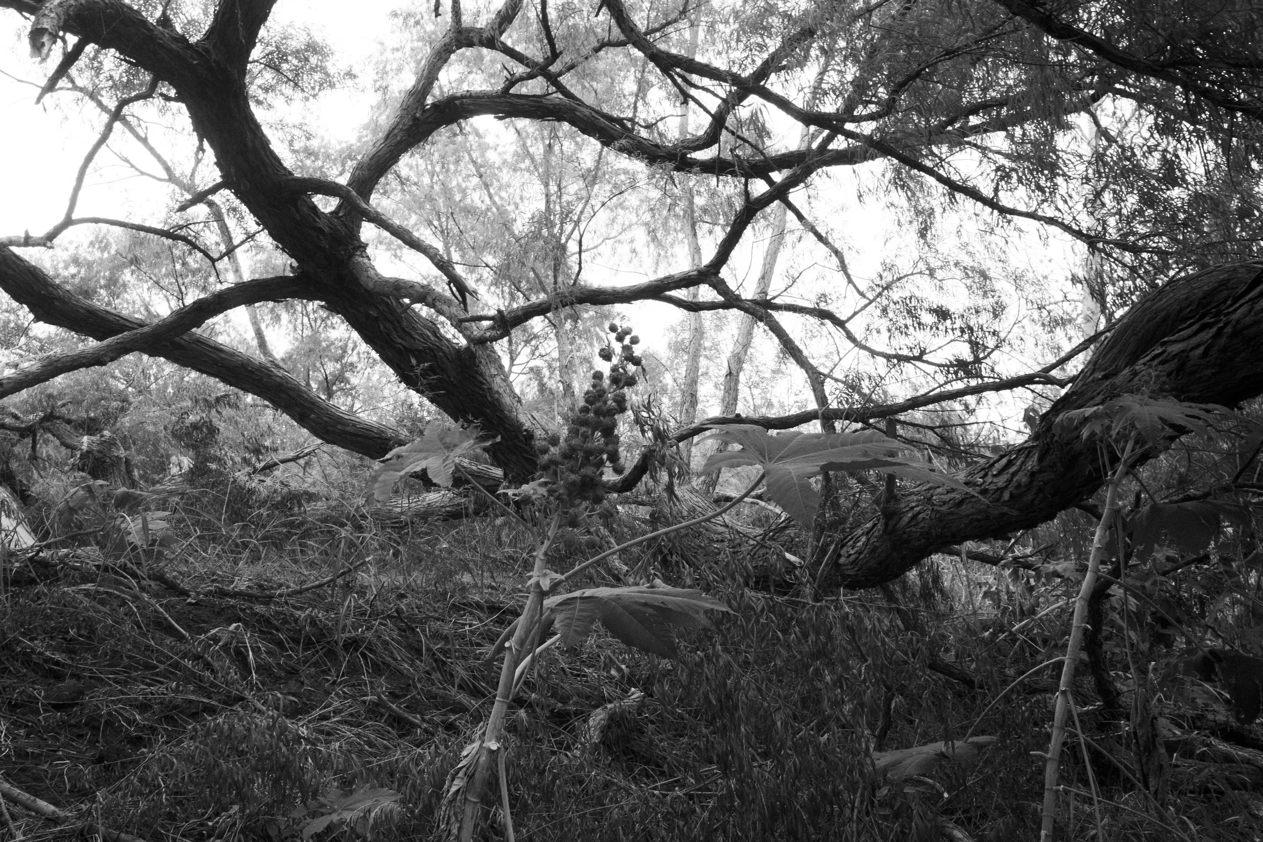 DSCF6122.JPG