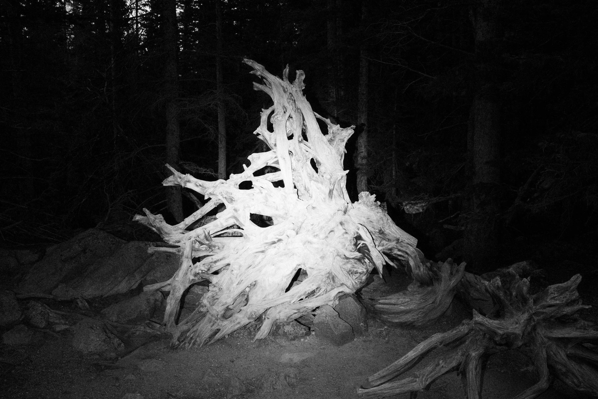 DSCF5496-2.jpg