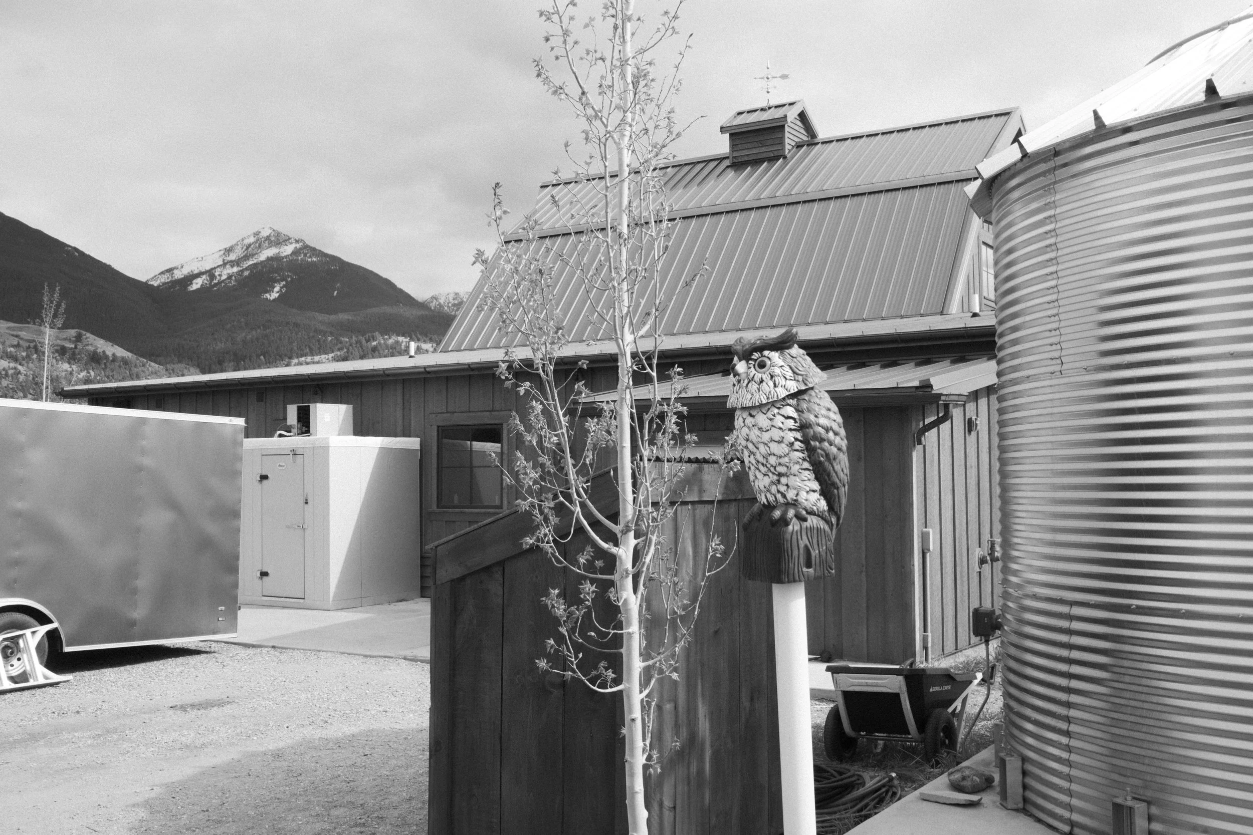 DSCF7891.jpg