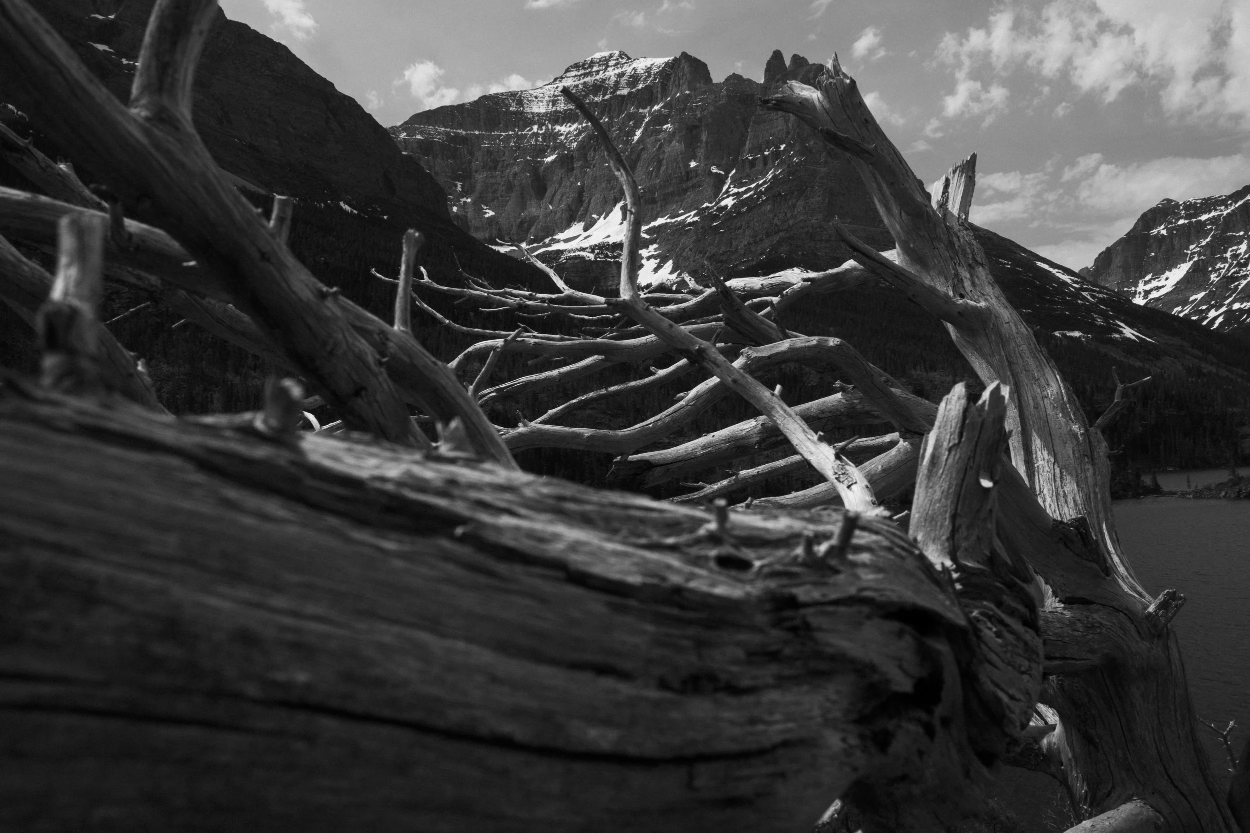 DSCF8143.jpg