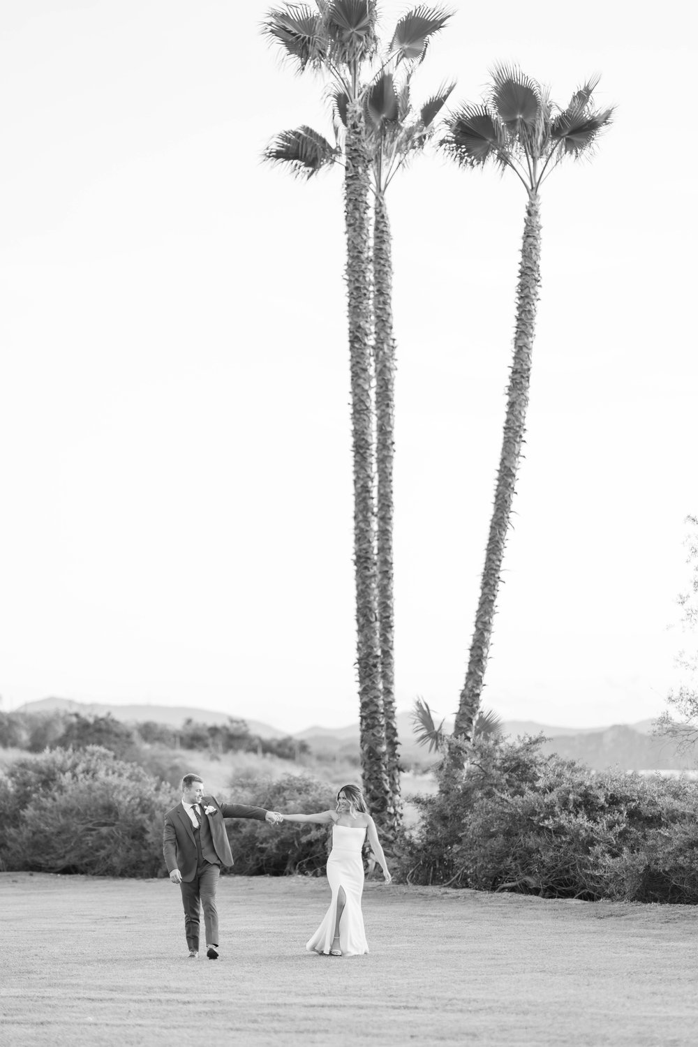 california-palm-trees-wedding-photos.jpg