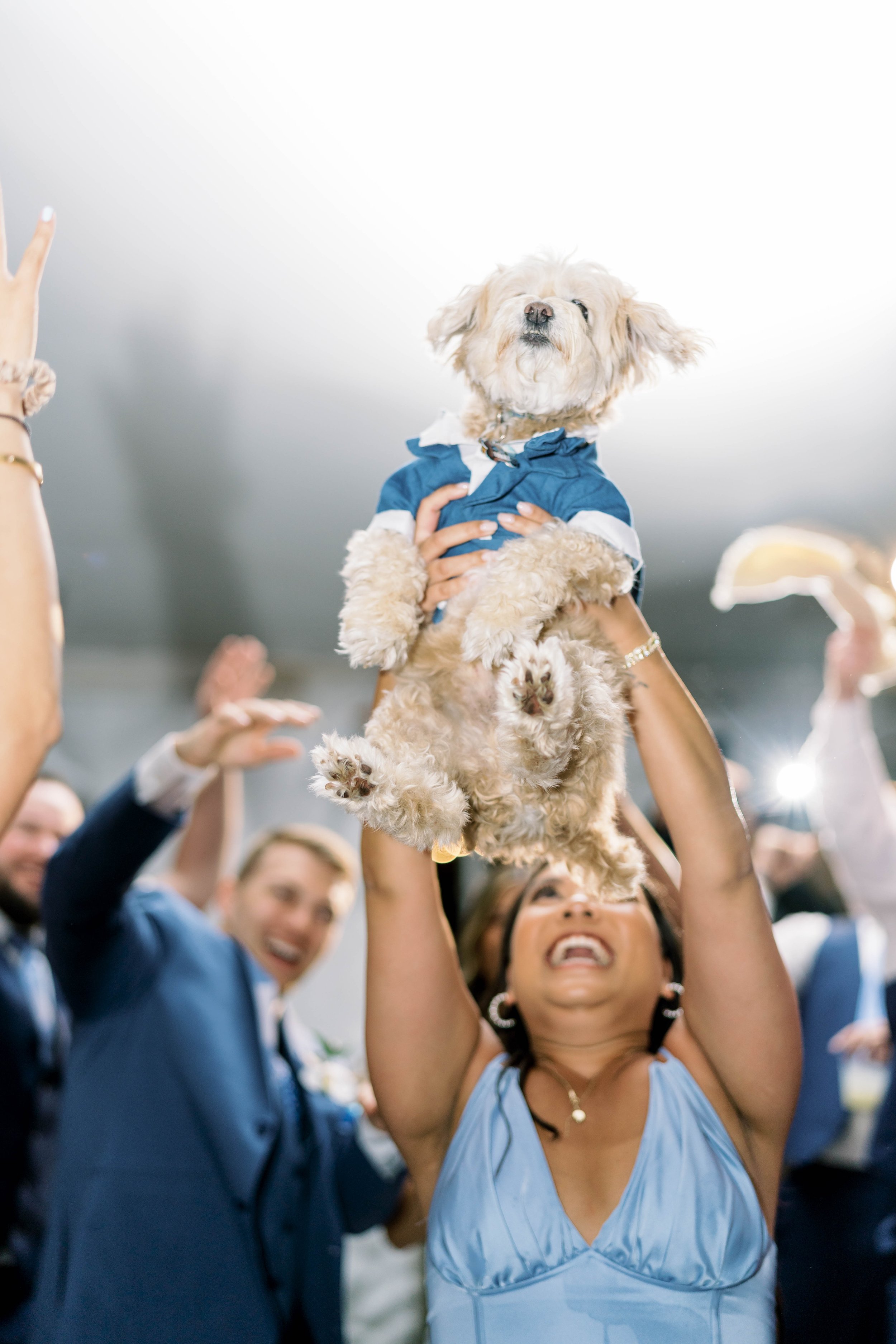 dog-at-wedding.jpg