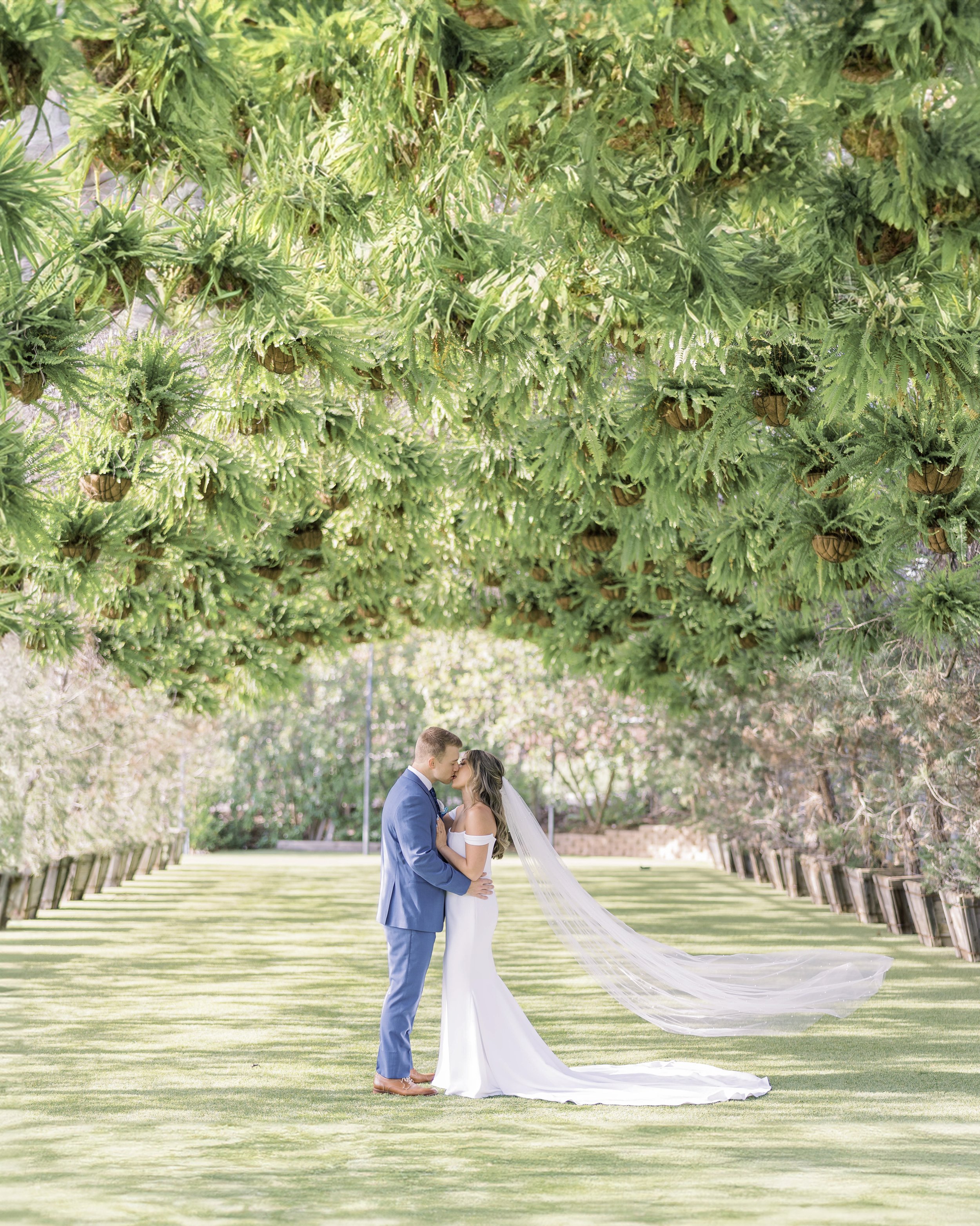 bride-and-groom-veil-shotjpg.jpg